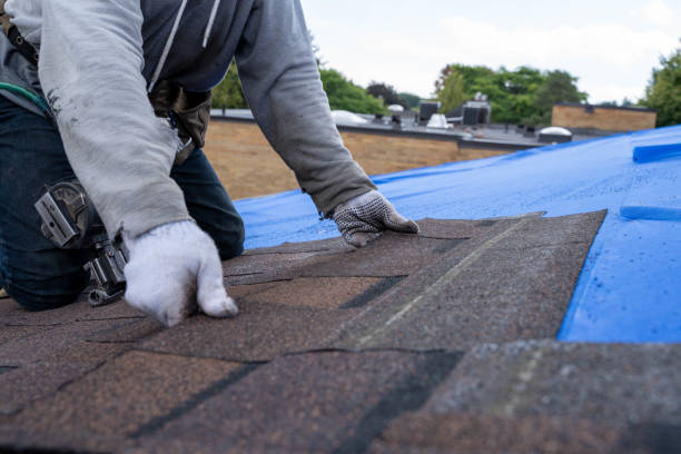 Best Metal Roofing Contractor  in Jennings, LA